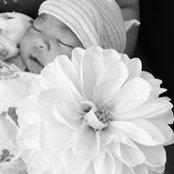 Jeannette Lu's photo