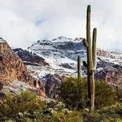 Foto von Allen Wright