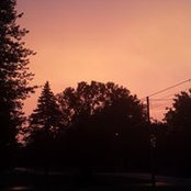 Grant McCardle's photo