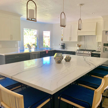 Entertainer's kitchen