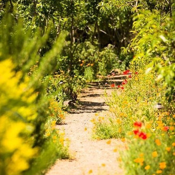 Native Herbal Garden