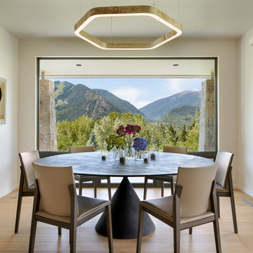 Aspen Red Mountain Remodel