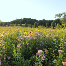 Prairie gardens
