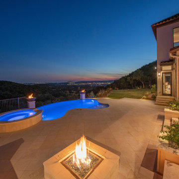 Freeform Contemporary Pool with Negative Edge