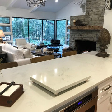 Mid Century Modern Whole Home Renovation