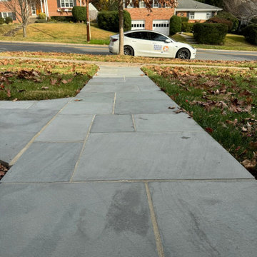 Past Projects