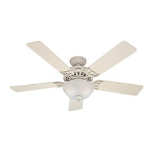 Ceiling Fans