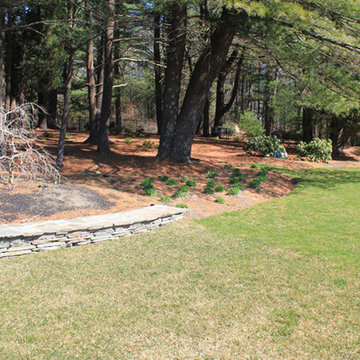 Environmental Landscapes