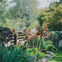 Casa Azul - Landscape