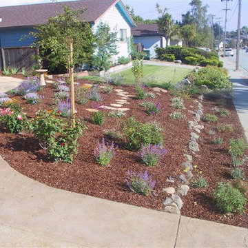 Xeriscaping and Misc.
