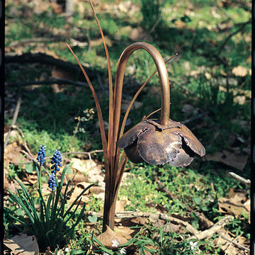 Escort Lighting Pitcher Plant
