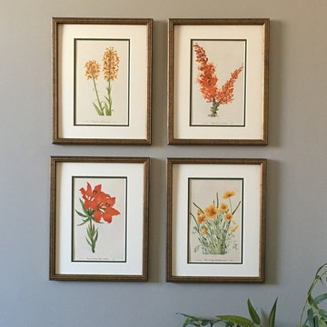 Botanical Prints