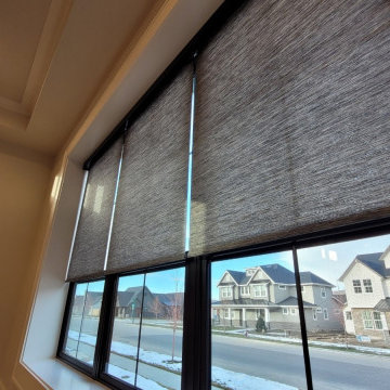 Alta Motorized Solar and Roller Shades