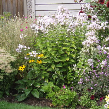 Late Summer Garden
