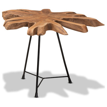Merci Rustic Natural Brown and Black End Table with Teak Tree Trunk Tabletop