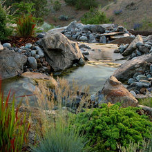 Back Rd Landscaping Ideas