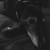 Bonnie Loewenstein's photo