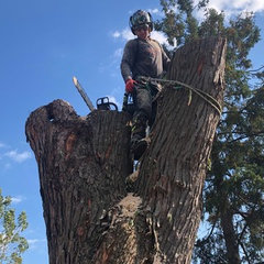 Matrix Tree Group