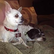 Dani Nolan's photo
