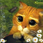 Sandra DiBrango's photo