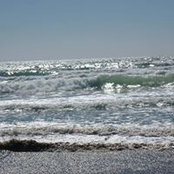 Heather Liffiton's photo