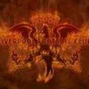 Haidar Moubayed's photo