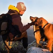 Sigrid Svensson's photo