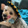 I KlinGeR