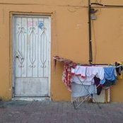 Reem Saeed's photo