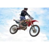 Dulcidio Gonzalez's photo