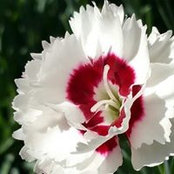 John Tseng's photo