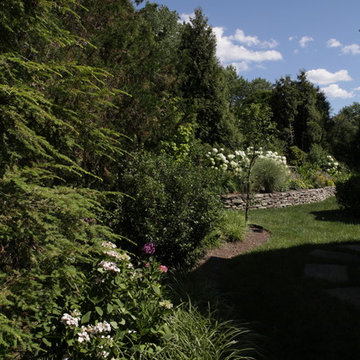 Backyard wall