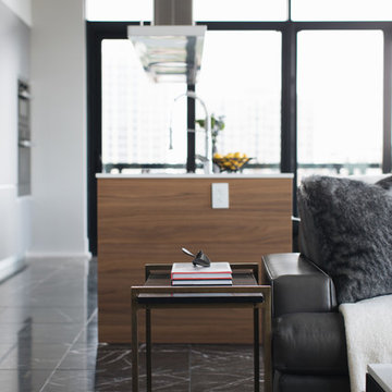 Contemporary Condo