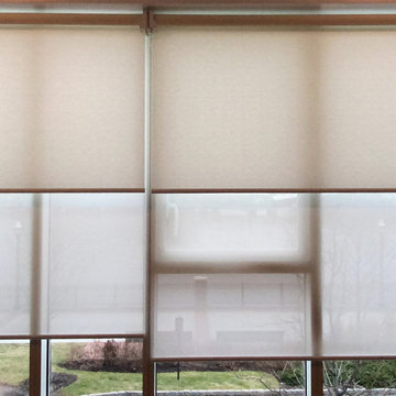 Springblinds Day & Night Dual Shades