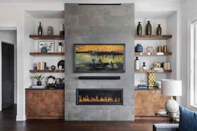 Living room - modern living room idea in Austin