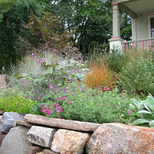 Front landscape