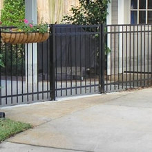 Iron Fence/Gate