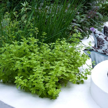 Seating surrounded by fragrant herbs