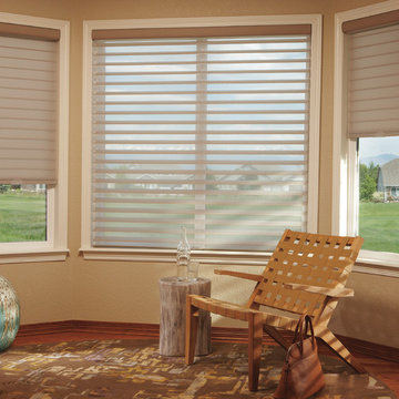 Hunter Douglas Silhouette® Shadings