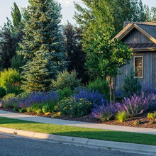 Front Yard Ideas