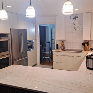 Contemporary Kitchen Remodel