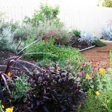Fullerton, CA: Lawn to California Native Garden