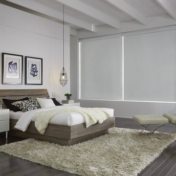 LUTRON SHADES