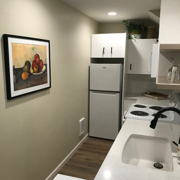 The Forest Remodeled Galley Kitchen (See BEFORE below)