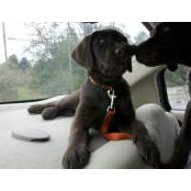 Patty Tegeler's photo