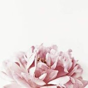 Norrine Mattia's photo