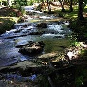 Tylyn Brito's photo