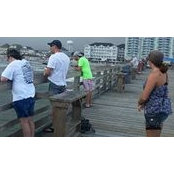 Kathy Mullins's photo