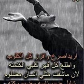 علي العبودي's photo