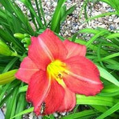 Leslie Noelle's photo